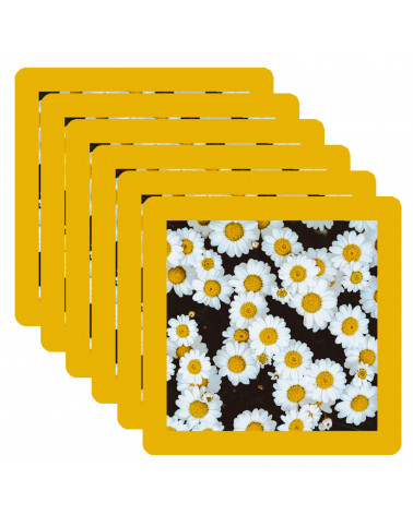 Simple 10x10 cm en pack de 6 bords ronds