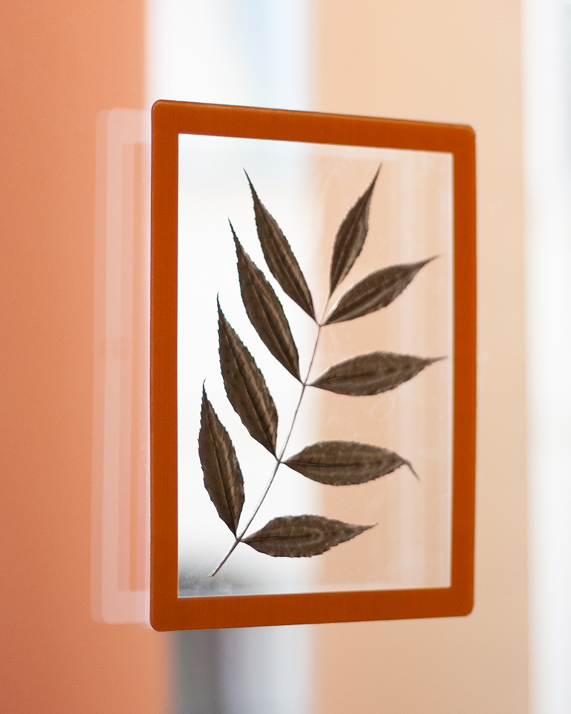 Slimpyx cadre photo sur vitre verre ou cloison vitrée