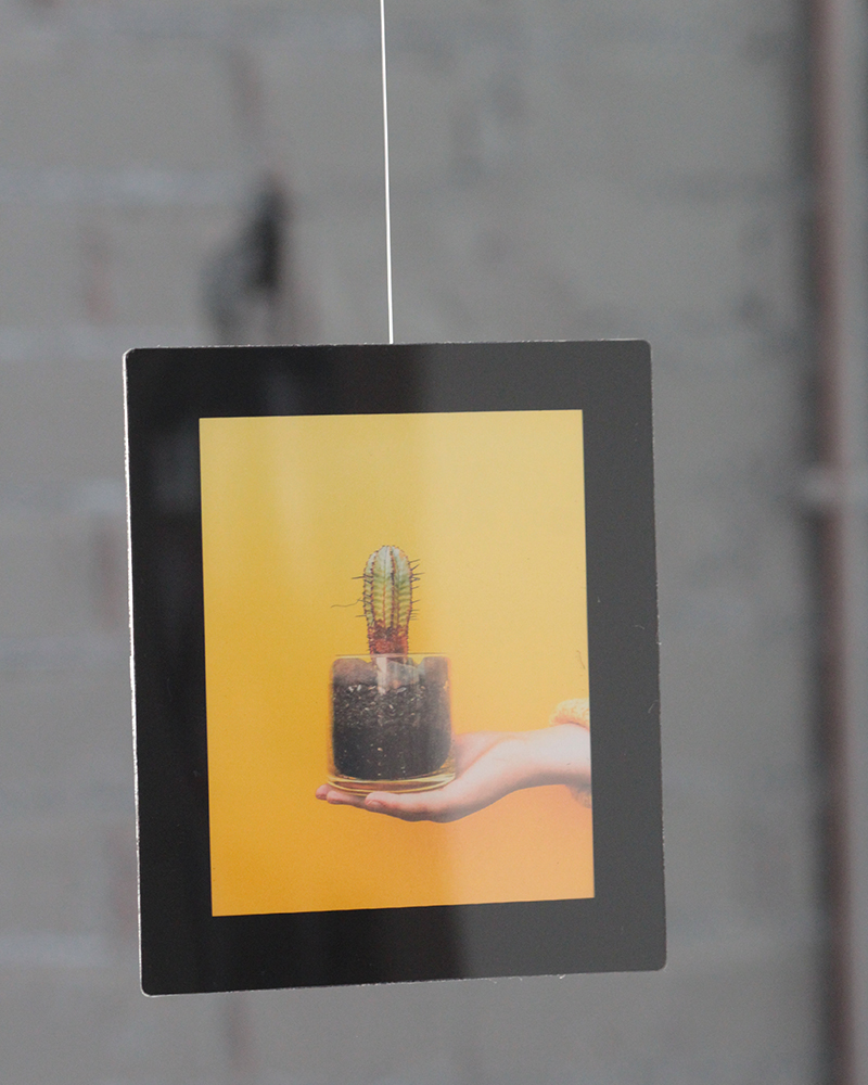 Cadre slimpyx suspendu par un filet de pêche